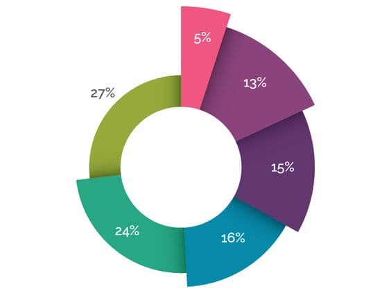 Pie Chart